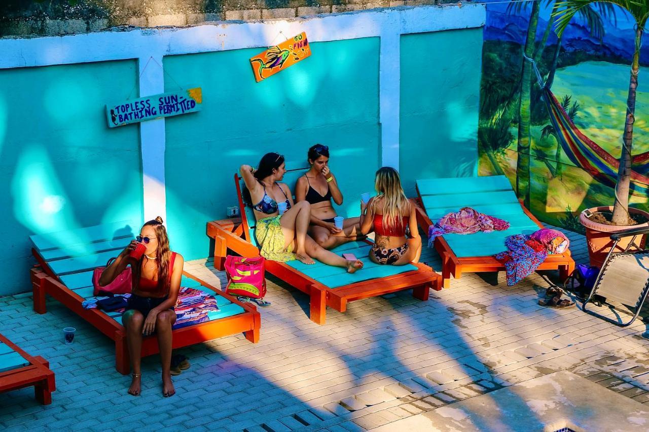 Blue Iguana Hotel Sámara Eksteriør billede