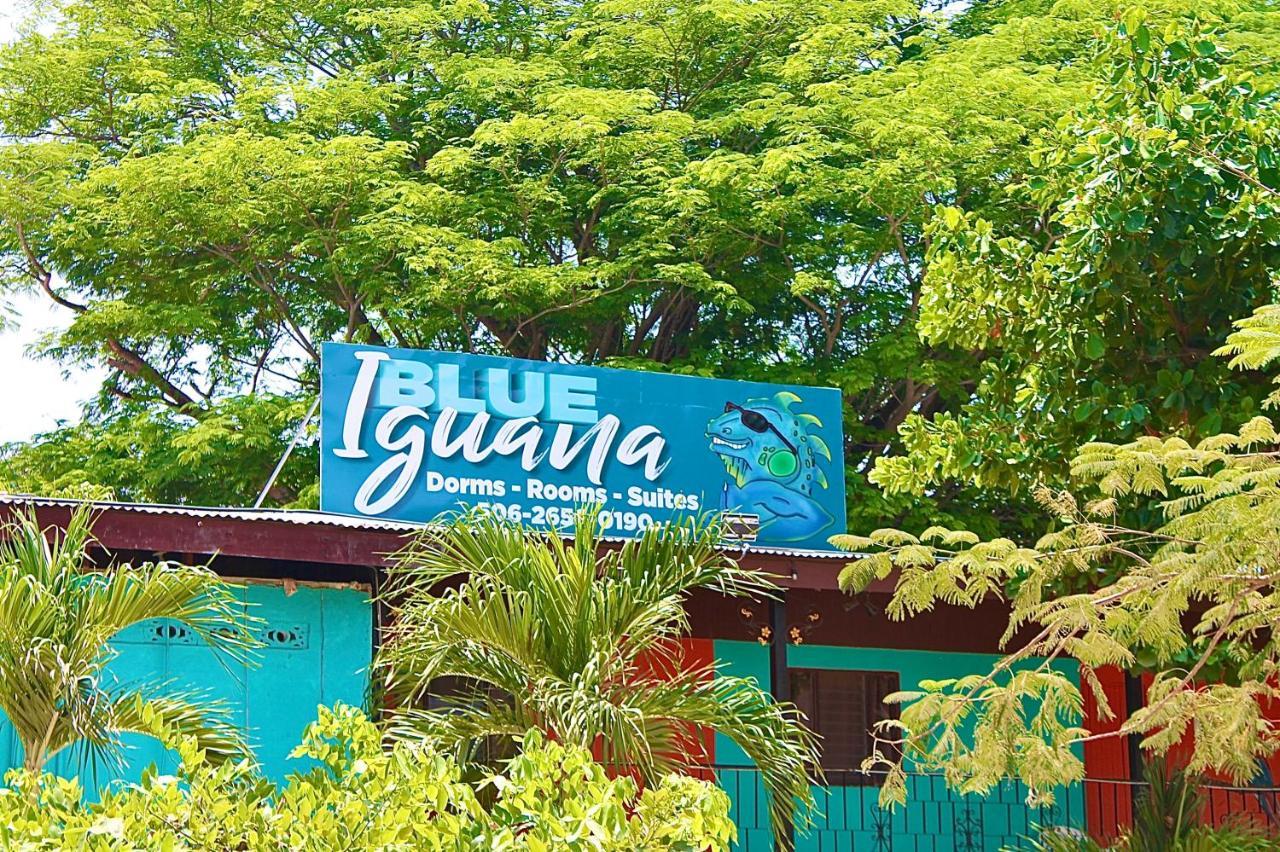 Blue Iguana Hotel Sámara Eksteriør billede