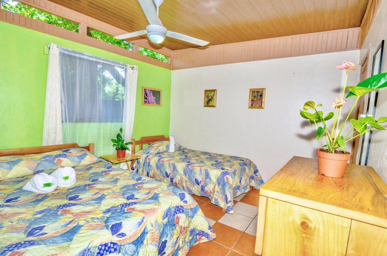 Blue Iguana Hotel Sámara Eksteriør billede