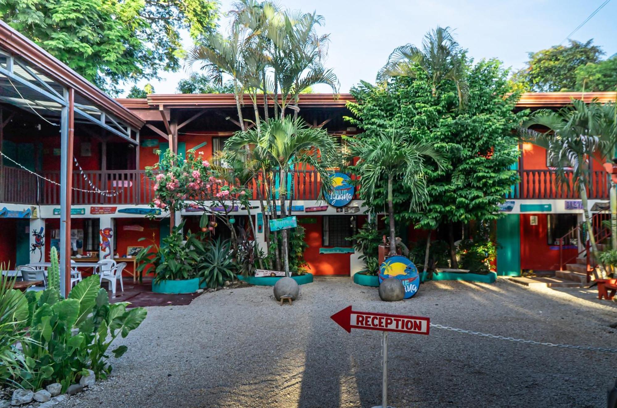 Blue Iguana Hotel Sámara Eksteriør billede